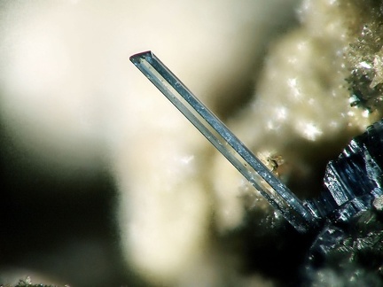 Vivianite - Mine de Salsigne - Salsigne - Carcassonne - Aude