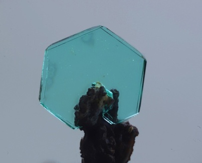 Chalcophyllite - Malabau mine - Salsigne - Carcassonne - Aude