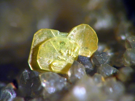 Autunite - Le Boucheron - Davignac - Corrèze