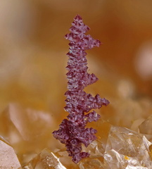 Cuprite - Laguépie - Tarn et Garonne 
