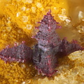 Cuprite - Laguépie - Tarn et Garonne