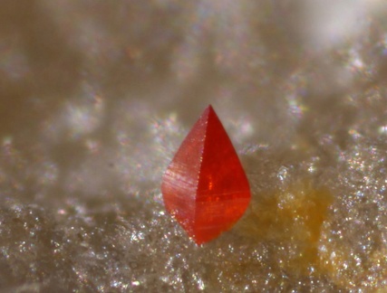 Wulfenite - Le Cantonnier - Nontron - Dordogne