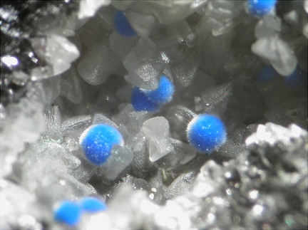 Linarite - La Poype - Vienne - Isère