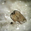 Brookite - Madone de Fenestre  - Alpes Maritimes