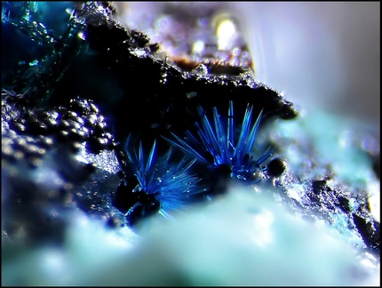 Connellite - Le Bastit - Najac - Aveyron