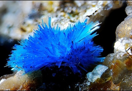 Serpierite   - La Baume - Villefranche de Rouergue - Aveyron