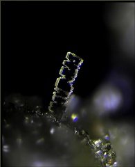 Olivenite - Le Franciman - Paulinet - Tarn