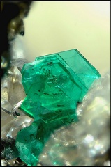 Chalcophyllite - Le Franciman - Paulinet - Tarn