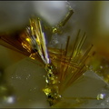 Cacoxenite -Les Montmins-Echassiéres-Allier