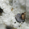 Aeschynite Hematite Rutile - St Christophe en Oisans - Isère 