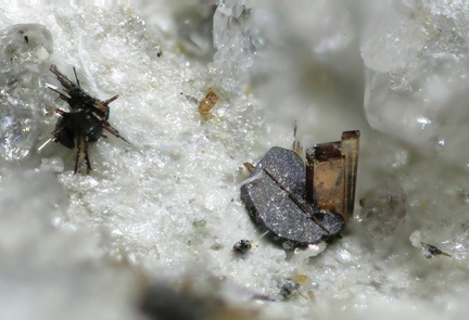 Aeschynite Hematite Rutile - St Christophe en Oisans - Isère 