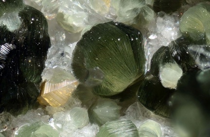 Clinochlore Anatase - carrière d Aigue Bonne - Saint-Raphaël - Var