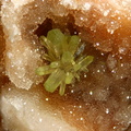 Mimétite - Lantignié - Rhône