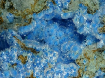 Cyanotrichite - Mine de Salsigne - Salsigne - Carcassonne - Aude
