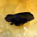 Azurite - Mas Dieu -Mercoirol - Laval-Pradel - Gard