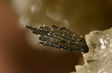Goethite - Belmont - Rhône 