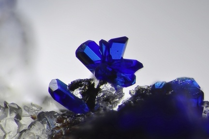 Azurite - L' Isoule - Laguépie - Tarn et Garonne