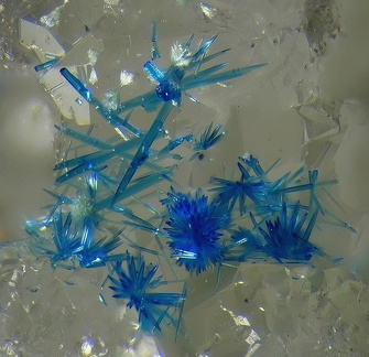 Connellite - Falgayrolles - Najac - Aveyron