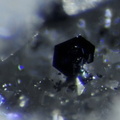 Covellite - Les Montmins - Echassiéres - Allier