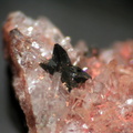 Anatase - Col des 3 Termes - Fréjus - Var
