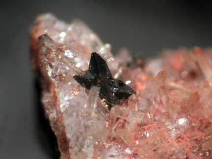 Anatase - Col des 3 Termes - Fréjus - Var