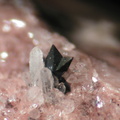 Anatase - Col des 3 Termes - Fréjus - Var