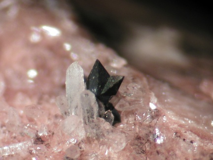 Anatase - Col des 3 Termes - Fréjus - Var