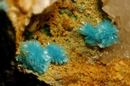 Aurichalcite – Mine Couloumier – Auzat – Foix - Ariège