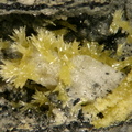 Pyromorphite - Longefay -  Poule les Echarmeaux - Rhône