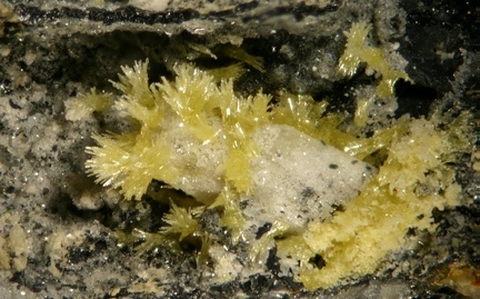 Pyromorphite - Longefay -  Poule les Echarmeaux - Rhône