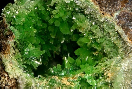 Pyromorphite - Creuzeval - St Didier sur Beaujeu - Rhône 
