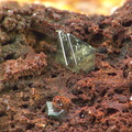 Wulfenite - Appietto - Corse du Sud 