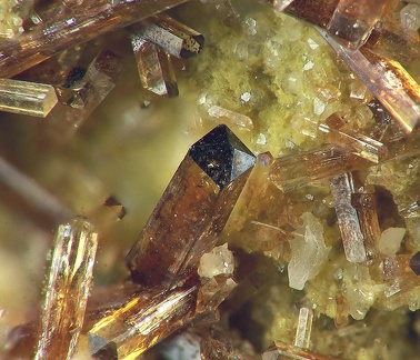 Vésuvianite - Canari - Haute Corse 