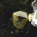  Quartz et goethite - En Bournegade - Curvalle - Albi  -Tarn