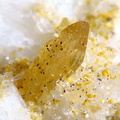 Xenotime-(Y) - Trimouns - Ariège