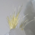 Thortveitite - Trimouns - Ariège