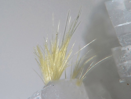 Thortveitite - Trimouns - Ariège