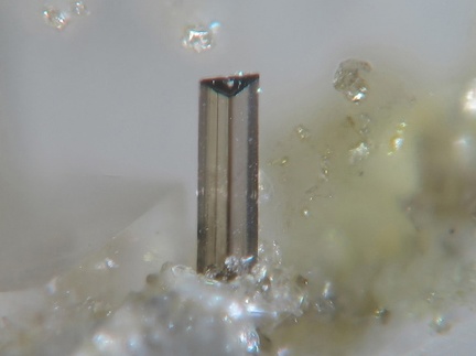 Trimounsite-(Y) -  Trimouns -  Ariège