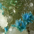 Cyanotrichite - Le Tistoulet - Padern - Aude