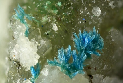 Cyanotrichite - Le Tistoulet - Padern - Aude