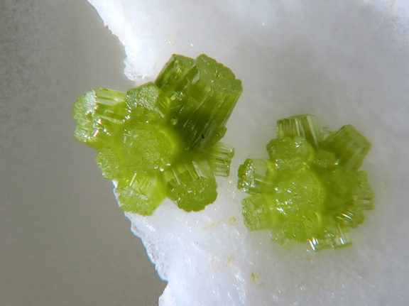Pyromorphite - Mas-Dieu - Mercoirol - Laval-Pradel - Gard 