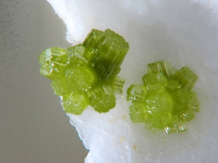 Pyromorphite - Mas-Dieu - Mercoirol - Laval-Pradel - Gard 