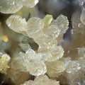 Hémimorphite - Carrière de Birrity - Arbouet-Sussaute - Pyrénées Atlantiques