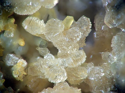 Hémimorphite - Carrière de Birrity - Arbouet-Sussaute - Pyrénées Atlantiques