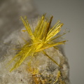 Wakabayashilite - Jas Roux - La Chapelle en Valgaudemard - Hautes-Alpes
