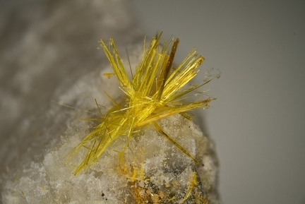 Wakabayashilite - Jas Roux - La Chapelle en Valgaudemard - Hautes-Alpes