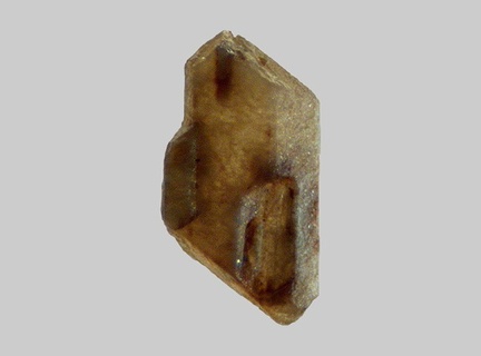 Apatite - Couze de Chaudefour - Voissière - Chambon-sur-Lac - Puy-de-Dôme - FP - Taille 0,7mm.