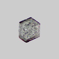 Apatite - Le Rhin - Kembs - Haut-Rhin - FP - Taille 0,3mm