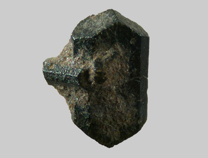Augite - Ruisseau de Ricolas - Laqueuille - Puy-de-Dôme -  Taille 2,2mm