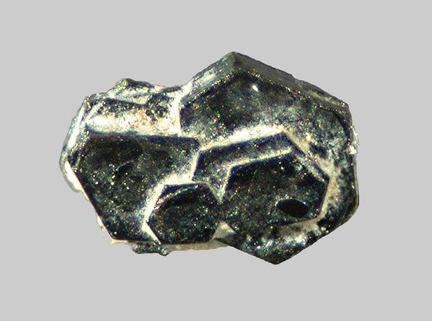 Biotite - La Trentaine - Picherande - Puy-de-Dôme - FP - Taille 1mm